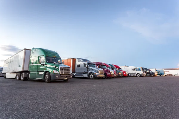 Many American trucks on parking lot. — Stock Photo, Image