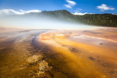 Yellowstone Milli Parkı, utah, ABD