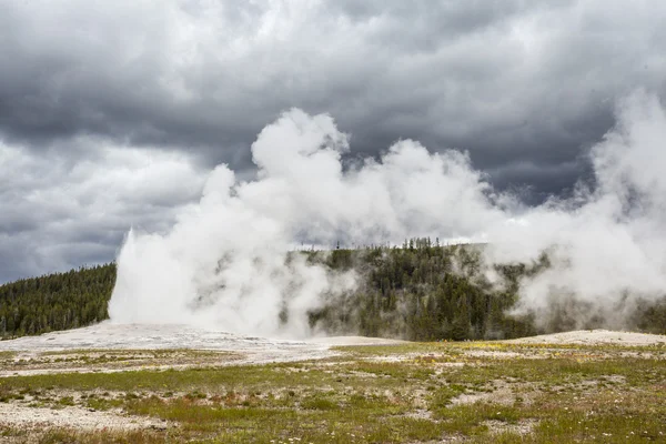 Yellowstone National Park, Utah, USA — Stock Photo, Image