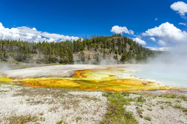 Yellowstone National Park, Utah, USA — Stock Photo, Image