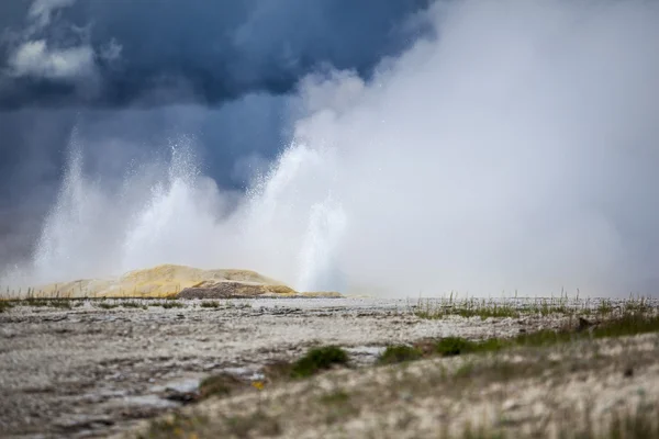 Yellowstone National Park, Utah, USA — Stock Photo, Image