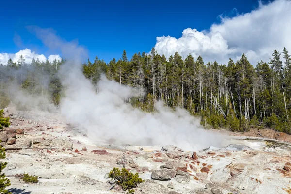 The highest geyser in Yellowstone National Park, Utah, USA — Stock Photo, Image