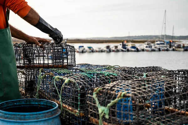 Ψαράς Βάζει Καβούρια Μέσα Παγίδες Χταποδιών Στο Alvor Algarve Πορτογαλία — Φωτογραφία Αρχείου