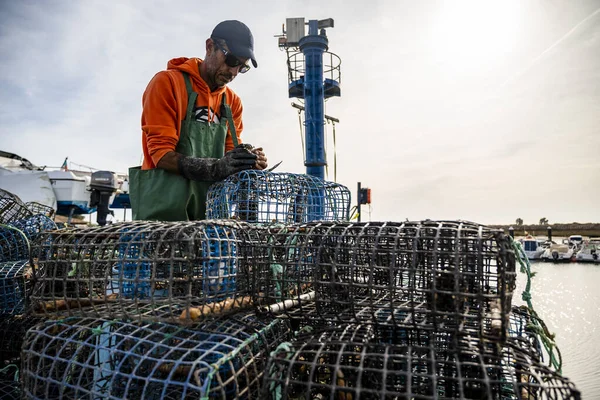 Alvor Portogallo Ottobre 2021 Pescatore Mette Granchi Dentro Trappole Polpo — Foto Stock