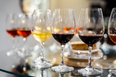 Variety of wines during wine tasting in the winery in Azeitao, Portugal
