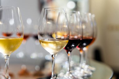 Variety of wines during wine tasting in the winery in Azeitao, Portugal
