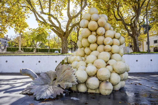 Grape Sculpture City Center Azeitao Portugal — 스톡 사진