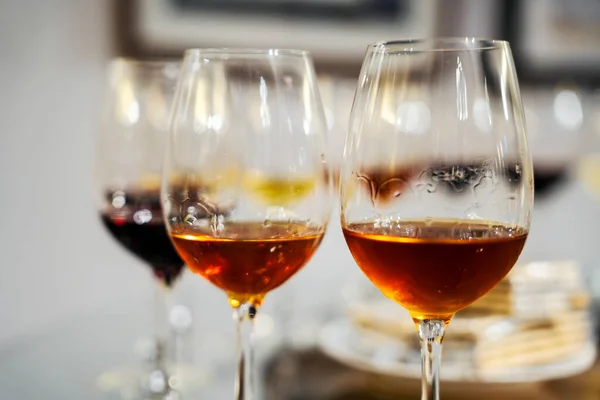 Variety Wines Wine Tasting Winery Azeitao Portugal — Stok fotoğraf