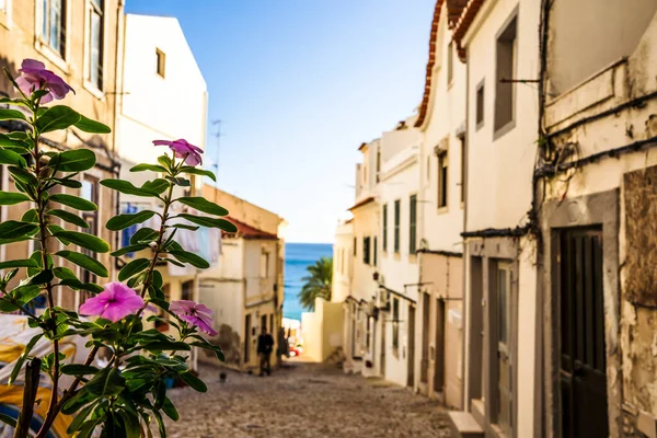 Charming Street Sesimbra Flowers Foreground Sesimbra Setubal District Portugal — Foto de Stock