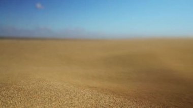 Maspalom, Gran Kanarya, Kanarya Adaları, İspanya 'nın kum tepelerine rüzgar üfleyen kumlara yakın.