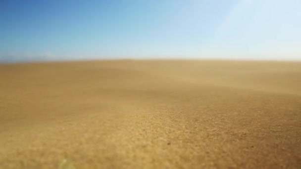 Вітер Дуває Пісок Дюнах Маспаломаса Гран Канарія Канарські Острови Іспанія — стокове відео