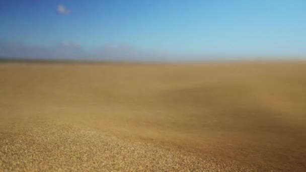 Primo Piano Del Vento Che Soffia Sabbia Sulle Dune Maspalomas — Video Stock
