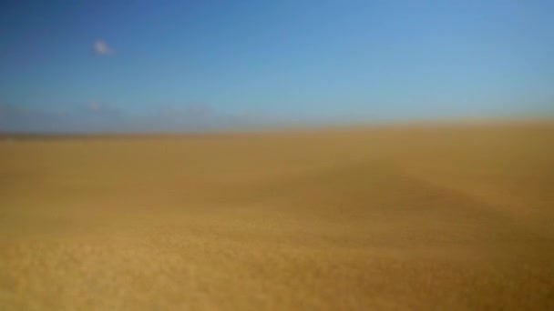 Κοντινό Πλάνο Του Ανέμου Που Φυσά Άμμο Στους Αμμόλοφους Του — Αρχείο Βίντεο