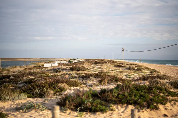 ファロ アルガルヴェ ポルトガルの砂丘とビーチの穏やかな風景 — ストック写真