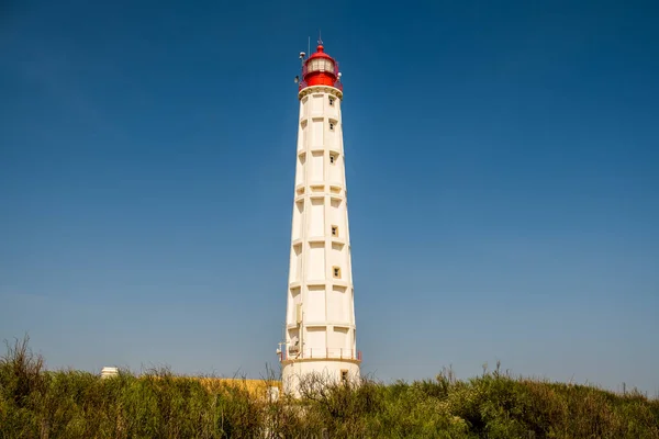 Farol Adası Ndaki Deniz Feneri Faro Disctrict Algarve Güney Portekiz — Stok fotoğraf
