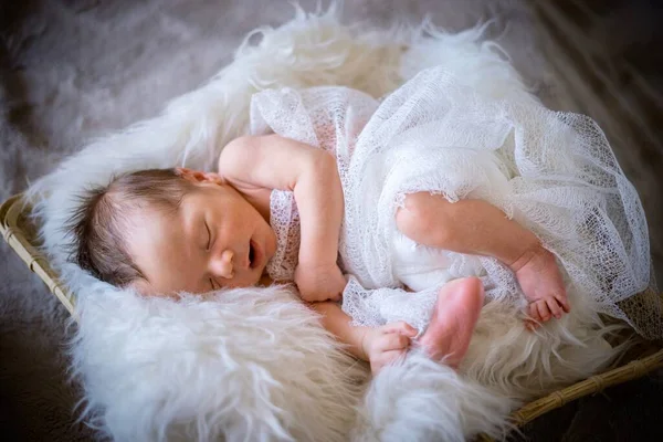 Şirin Yeni Doğmuş Erkek Bebek Pofuduk Battaniyenin Üzerinde Sepette Uyuyor — Stok fotoğraf