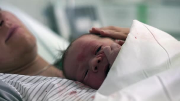 Niño Recién Nacido Acostado Pecho Madre Justo Después Del Nacimiento — Vídeos de Stock