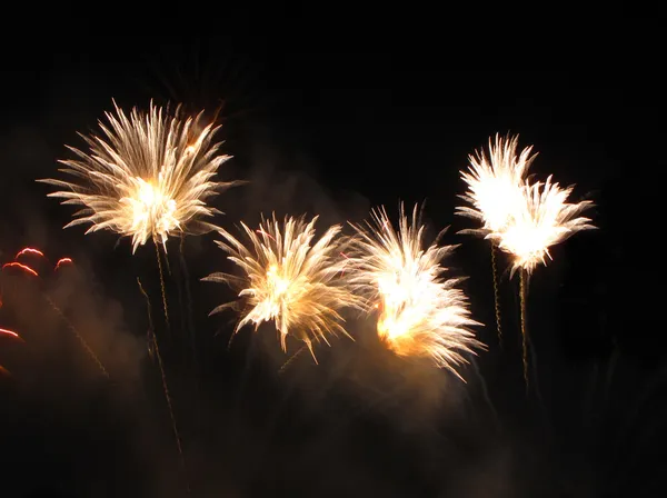 Fuochi artificiali — Foto Stock