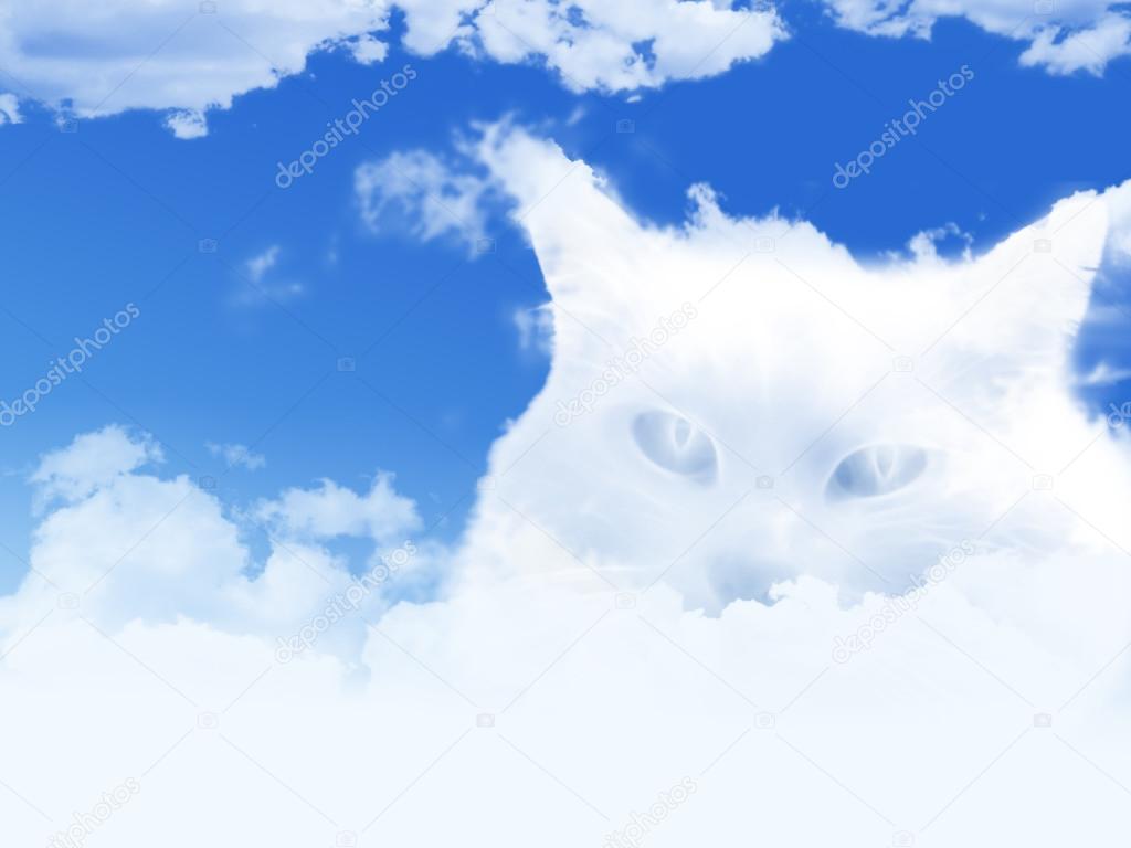 Cloud cat Stock Photo © Leda d #41851247 Cloud cat Stock Photo © Leda d #41851247