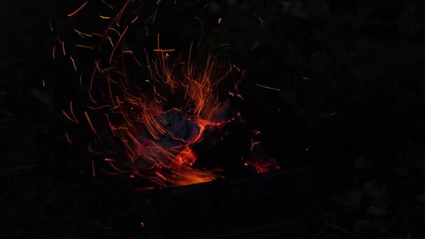 美しい明るいたき火は自然の中で夜の風の中で燃焼します プロのシェフが新鮮な肉を調理するための火を準備します 屋外バーベキュー 鉄のグリルの火でケバブを洗う 風の強い日のバーベキュー — ストック動画