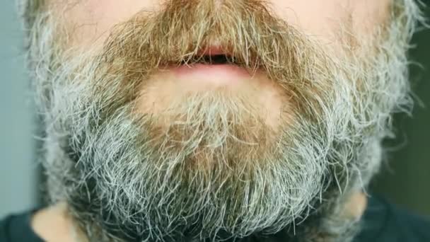 Mad Man Wild Reddish Gray Beard Talks Lot Bearded Man — 비디오