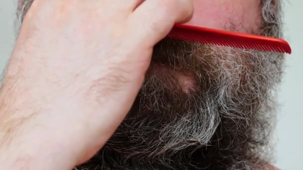 Homem Muito Crescido Penteia Sua Barba Cinza Marrom Exuberante Bigode — Vídeo de Stock