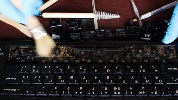 Tehnician Profesionist Calculator Folosește Curățarea Corectă Mișcărilor Perie Tastatură Murdară — Videoclip de stoc