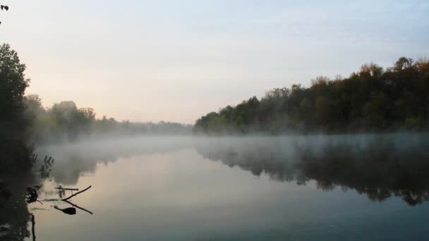Дым Воде Красивое Озеро Фоне Зеленого Леса Рано Утром Над — стоковое видео