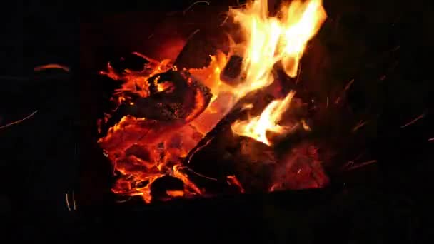 Lenha Madeira Queima Fogo Brilhante Fundo Floresta Homem Sopra Fogo — Vídeo de Stock
