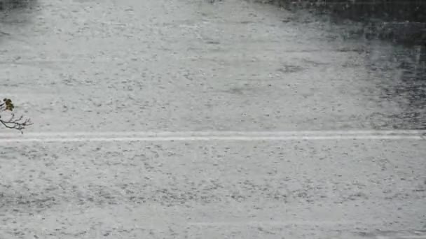 高速公路上的大雨 汽车开过沥青的大水坑 大滴滴在路上 这条城市街道充满了水 水面上的气泡 一个自然现象 背景天气 — 图库视频影像