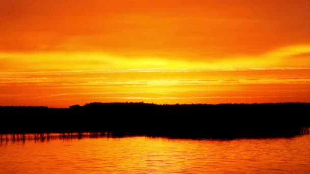 Prachtige Rode Zonsopgang Boven Rivier Het Bos Vroeg Ochtend Boven — Stockvideo