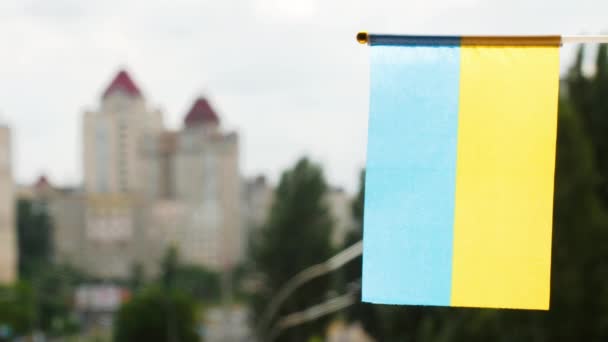Bandiera Verticale Dell Ucraina Impostato Contro Cielo Blu Strada Della — Video Stock
