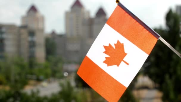 National Flag Canada Set Blue Sky City Street Canadian Flag — Stockvideo