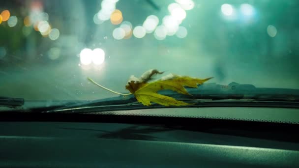 Hoja Arce Marchita Forma Corona Limpiaparabrisas Del Coche Gente Borrosa — Vídeos de Stock