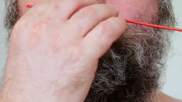 Man Combs His Beard Adult Man Styling His Unkempt Gray — Stock video