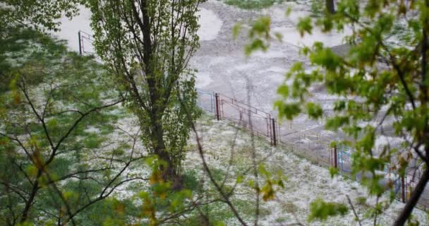 下着冰雹和白雪 在雪地的大水坑 绿草和树木的背景上 沐浴着 大雨淹没了道路 城市街道上的水淹 倾盆大雨很大 — 图库视频影像