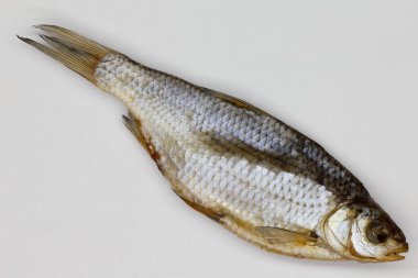 Beyaz arka planda kurutulmuş balık. Büyük kurumuş deniz hamamböceği. Volga Nehri 'nden tuzlu vobla. Açık hava, güneş ve rüzgar kullanarak Avrupa hamamböceklerini kurutuyor. İzole edilmiş. Nehir balıkları uzun vadeli depolama için hazırlandı. Yakın plan.