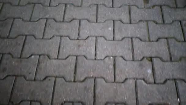 Road Eyes Walking Person View Pavement Paved Gray Figured Tiles — Stockvideo
