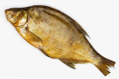 Fish Smoked bream. Isolated. Large dried salted river fish on a white background. Seafood. Good luck with the fisherman. Healthy food. Snack for beer. Big carp. Fishing on the sea and ocean. Close-up