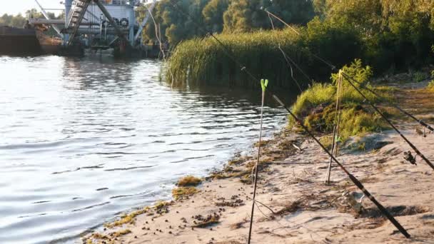 Fishing Fishing Rods River Bank Fishing Rods Sandy Shore Snails — Αρχείο Βίντεο