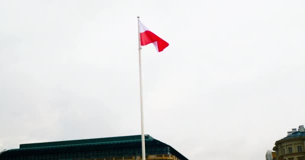 Flagge Polens Polnische Flagge Nationaler Unabhängigkeitstag Polens November Feiertag Der — Stockvideo