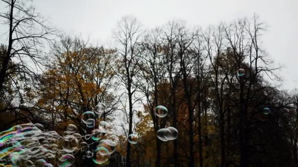 Мыльные Пузыри Парке Медленное Движение Яркие Разноцветные Мыльные Пузыри Надуваются — стоковое видео