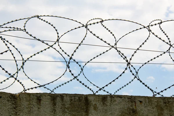 Barbed wire on the fence. Fencing stainless steel Barb Wire with sharp edges on a massive concrete wall for security on the background a blue sky. Barbwire on the prison fence. Military barbwire fence