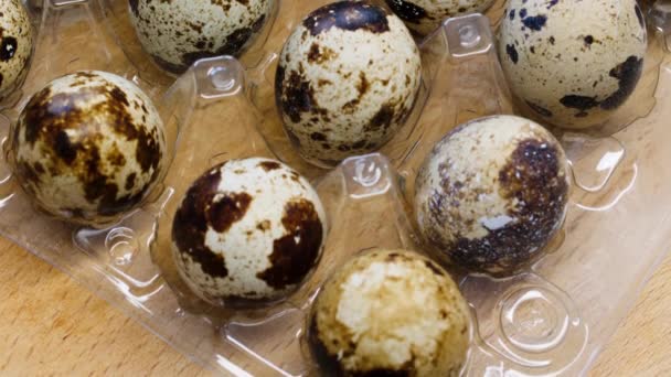 Αυγά Ορτυκιού Δίσκο Αυγών Αργή Κίνηση Ακατέργαστα Αυγά Ορτυκιού Διάφανη — Αρχείο Βίντεο