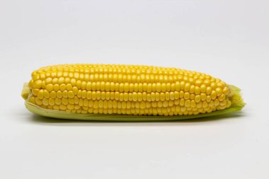 Beyaz arka planda tek bir mısır tanesi izole edilmiş. İzole edilmiş. Paket tasarım elemanı. Kabuklu mısır. Yakın plan.