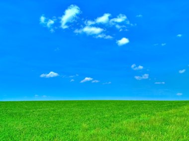 Mavi gökyüzünün altında yeşil alan