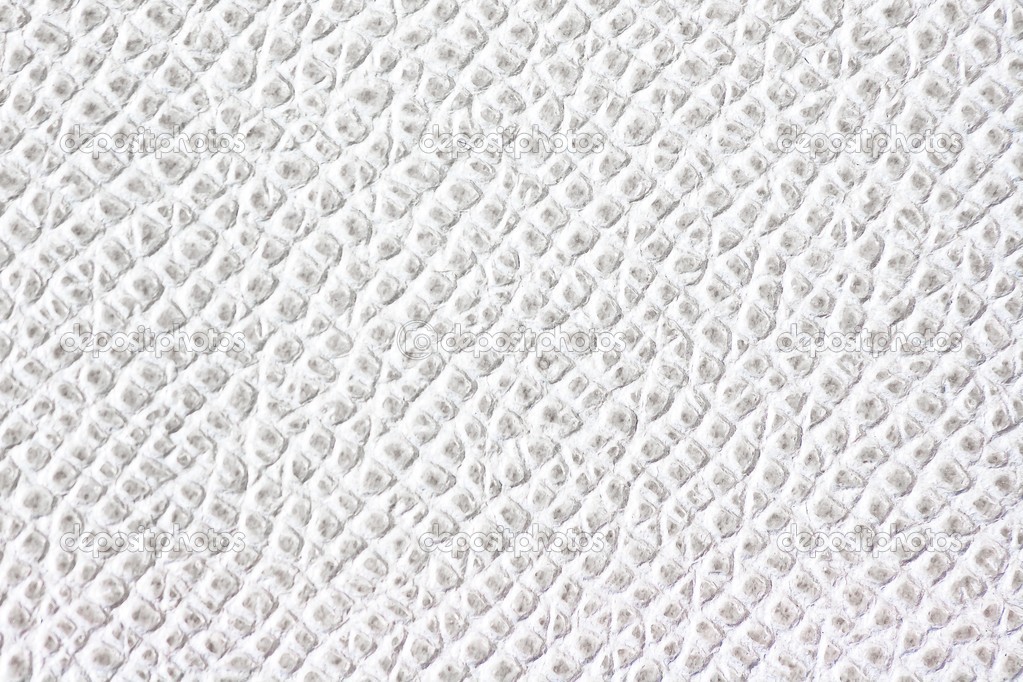 White leather texture