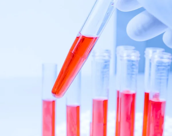 Hand in blue glove is holding test tube with red liquid in laboratory — Stock Photo, Image