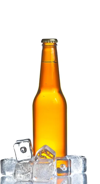 Bottle of fresh beer with ice,concept of fresh beer on summer Stock Picture