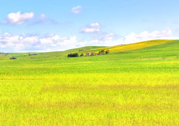 Paisagem de campo de grama verde sob céu azul na primavera — Fotografia de Stock